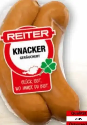 Norma Reiter Knacker Angebot