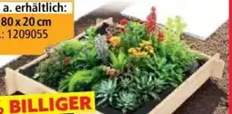 Norma Hardin 1Fachgut Pflanzkasten Angebot