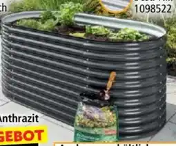 Norma Powertec Garden Oval-Hochbeet Angebot