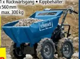 Norma Scheppach Dumper DP3000 Angebot