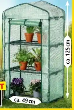 Norma Green Yard Gewächshaus Angebot