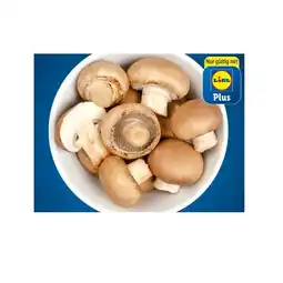 Lidl Bio Champignons braun aus Tirol Lidl APP Preis Angebot