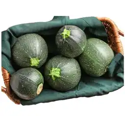Lidl Zucchini rund Lidl Angebot