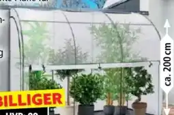 Norma Hardin 1Fachgut XXL-Gewächshaus Angebot