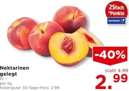 Unimarkt Nektarinen gelegt Angebot