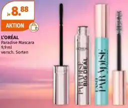 Müller L'ORÉAL Paradise Mascara Angebot