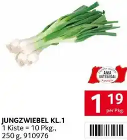 Transgourmet Jungzwiebel Angebot