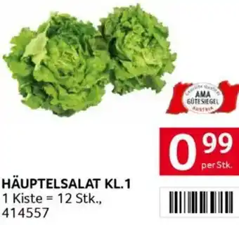 Transgourmet Häuptelsalat kl.1 Angebot