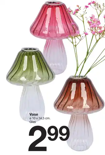 Zeeman Vase Angebot