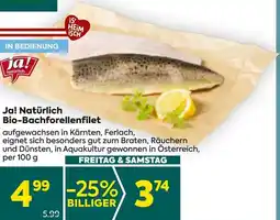 Billa Ja! Natürlich Bio-Bachforellenfilet Angebot