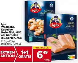 Billa Iglo Wildlachs Kabeljau Naturfilet MSC Angebot