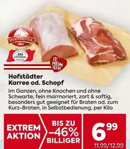 Billa Hofstädter Karree od. Schopf Angebot
