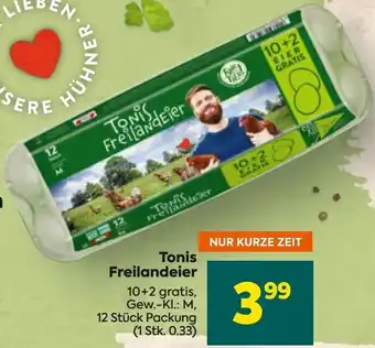 Billa Tonis Freilandeier Angebot