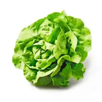 Billa Da komm' ich her Häuptelsalat Angebot