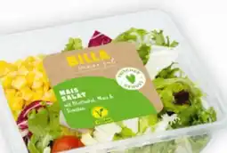 Billa Billa immer gut Salatschale Angebot
