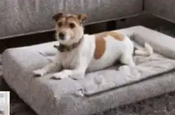 XXXLutz Sedda-Polstermöbel Hundebett Angebot