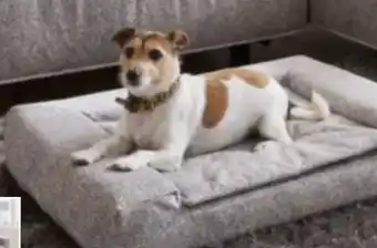 XXXLutz Sedda-Polstermöbel Hundebett Angebot