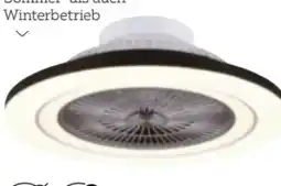 XXXLutz Mican Deckenventilator Angebot