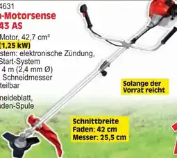 Zgonc Einhell Benzin-Motorsense GH-BC 43 AS Angebot