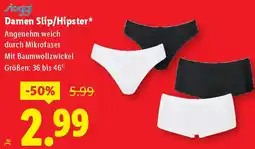 Lidl Damen Slip/Hipster Angebot