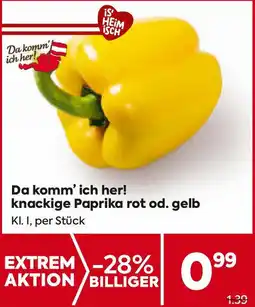 Billa Da komm' ich her! knackige Paprika rot od. gelb Angebot