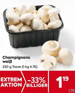 Billa Champignons weiß Angebot