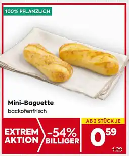 Billa Mini Baguette Angebot