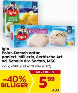 Billa Iglo Polar Dorsch natur, paniert, Müllerin, Serbische Art od. Scholle div. Sorten, MSC Angebot
