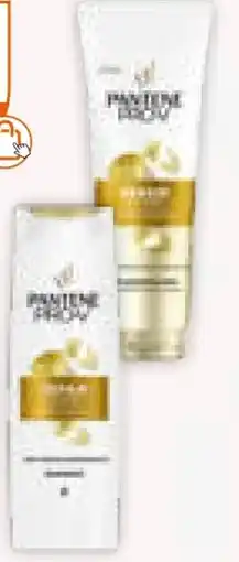 Müller Pantene Pro-V Shampoo Angebot