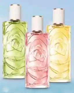 Müller Lancome Les Ô Ôff Now EdT Angebot