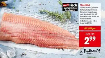 Interspar Welsfilet Angebot
