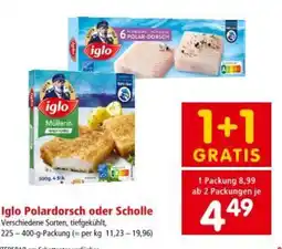 Interspar Iglo Polardorsch oder Scholle Angebot