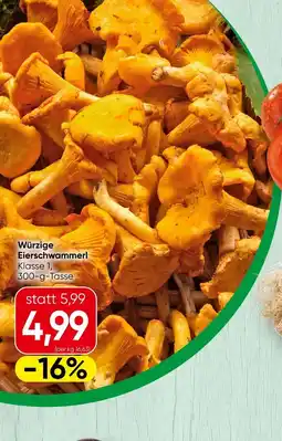 Spar Würzige Eierschwammerl Angebot