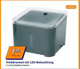 Action Trinkbrunnen mit LED-Beleuchtung Angebot