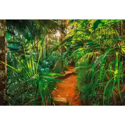 XXXLutz Fototapete 368/254 cm Angebot