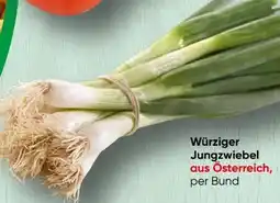 Spar Jungzwiebel Angebot