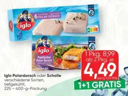 SPAR Gourmet Iglo Polar-Dorsch Angebot