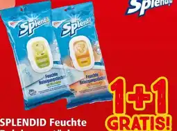 Interspar Splendid Feuchte Reinigungstücher Angebot