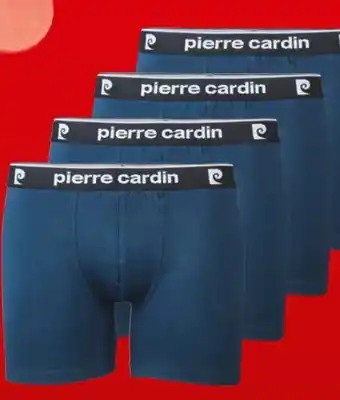 Interspar Pierre Cardin Herren-Pants Angebot