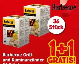Interspar Barbecue Grill-Kaminanzünder Angebot