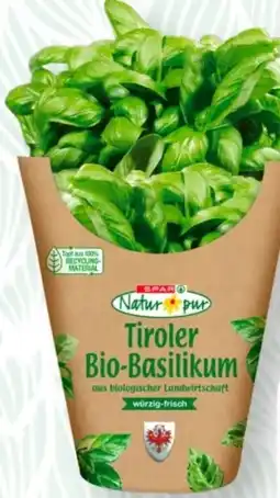 SPAR Gourmet Spar Natur pur Bio-Basilikum Angebot