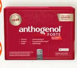 Prokopp Masquelier's Anthogenol Forte Angebot