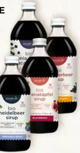 Prokopp Gewusst Wie Bio Sirupe Angebot