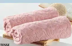 Hofer Novitesse Frottierserie Angebot