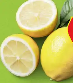 Hofer Hofer Marktplatz Bio-Zitronen Angebot