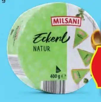 Hofer Milsani Schmelzkäseecken Angebot