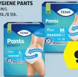 Hofer Tena Hygiene Pants Angebot
