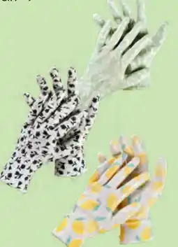 Hofer Gardenline Damen-Gartenhandschuhe Angebot