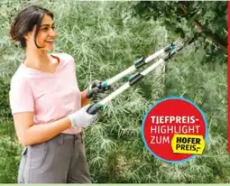 Hofer Gardenline Getriebe-Astschere Angebot