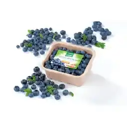 SPAR Gourmet Heidelbeeren SPAR Gourmet Angebot